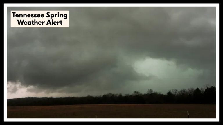 Memphis Storm Warning: Why You Shouldn’t Ignore This Tennessee Spring Weather Alert
