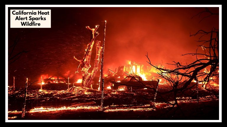 90 Degrees and Rising: California Heat Alert Sparks Wildfire Fears in Bay Area