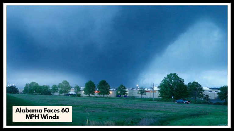 Alabama Faces 60 MPH Winds Tonight — Are You Ready for What’s Coming?