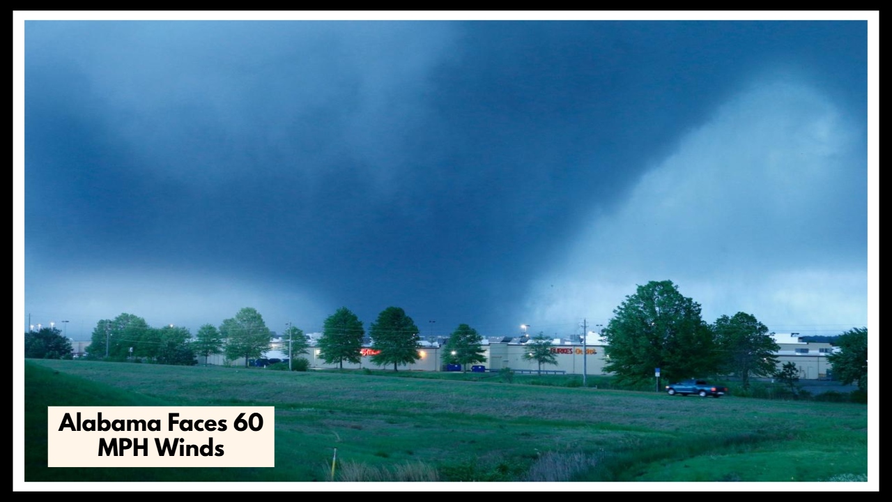 Alabama Faces 60 MPH Winds Tonight — Are You Ready for What’s Coming?