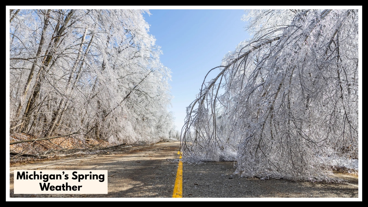 Freeze Alert! Michigan’s Spring Weather Just Took a Dangerous Turn