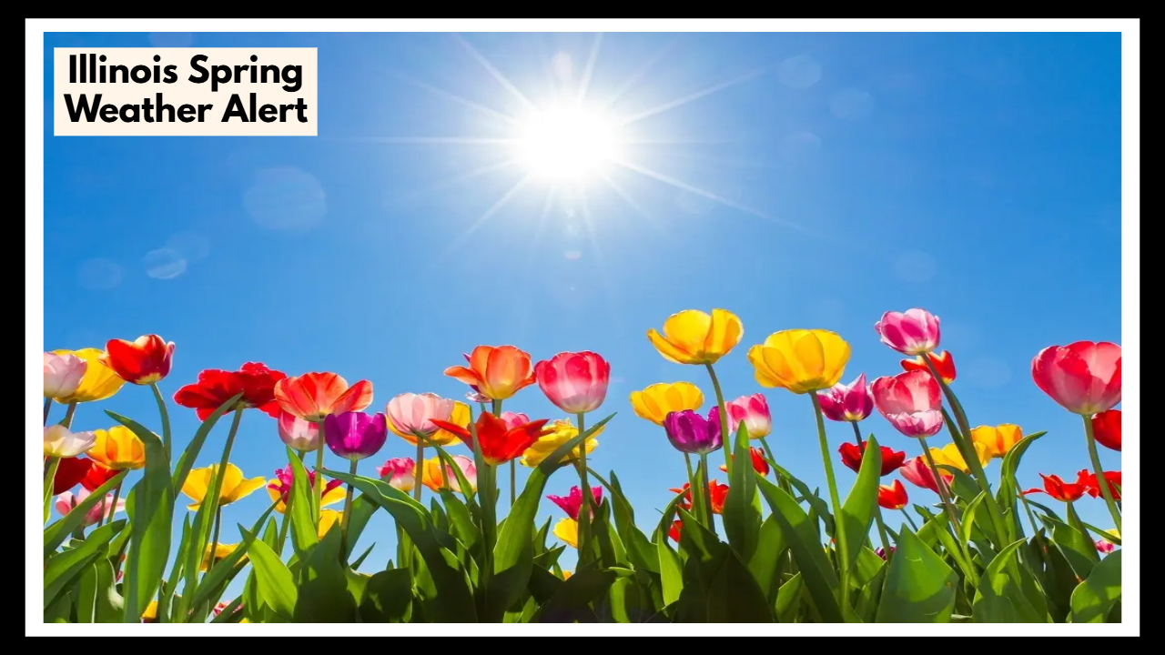 Illinois Spring Weather Alert: Why You Shouldn’t Ignore Sunday’s Forecast