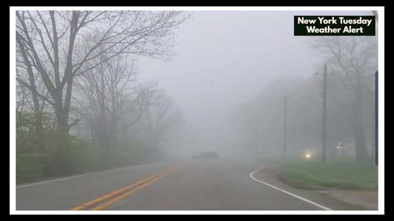 New York Tuesday Weather Alert: Fog and Heat Could Make Your Morning Commute a Challenge!