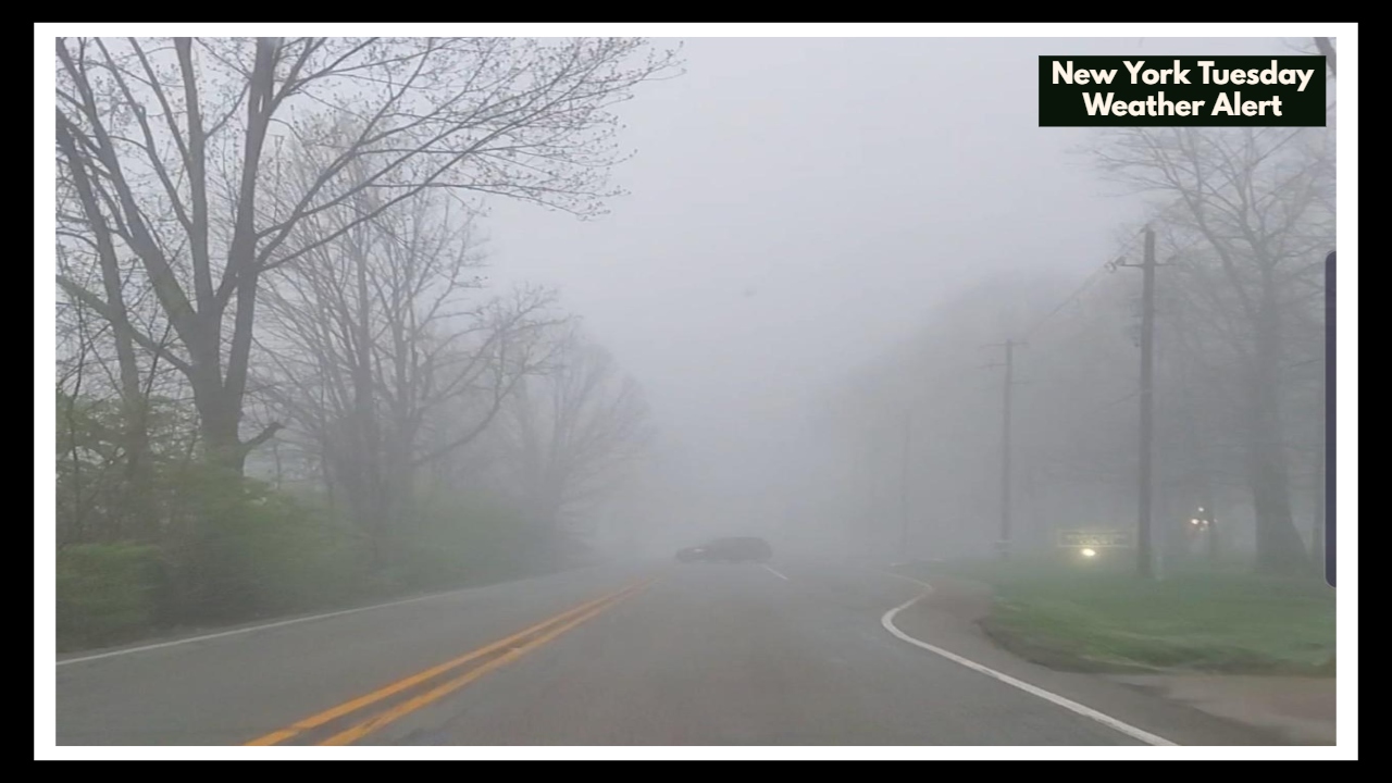 New York Tuesday Weather Alert: Fog and Heat Could Make Your Morning Commute a Challenge!