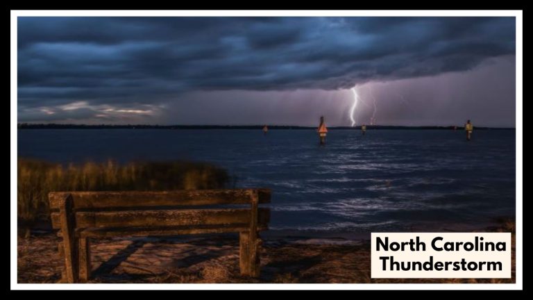 North Carolina Thunderstorm Watch Issued for 44 Counties—Here’s What You Need to Know Before Noon