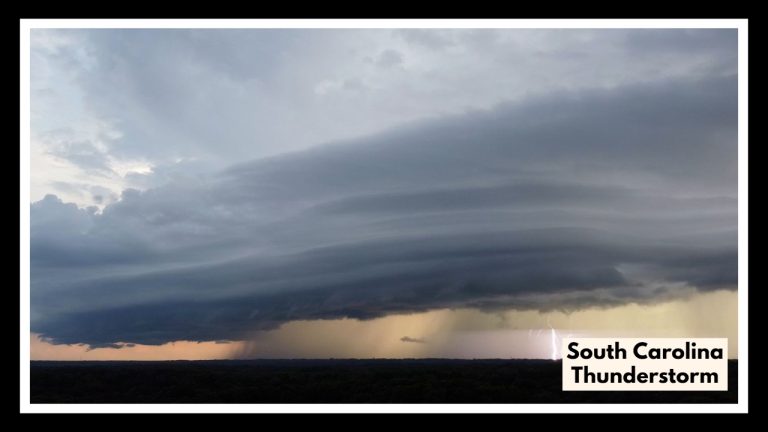 South Carolina Thunderstorm Watch Issued—Here’s What You Need to Know Before Noon