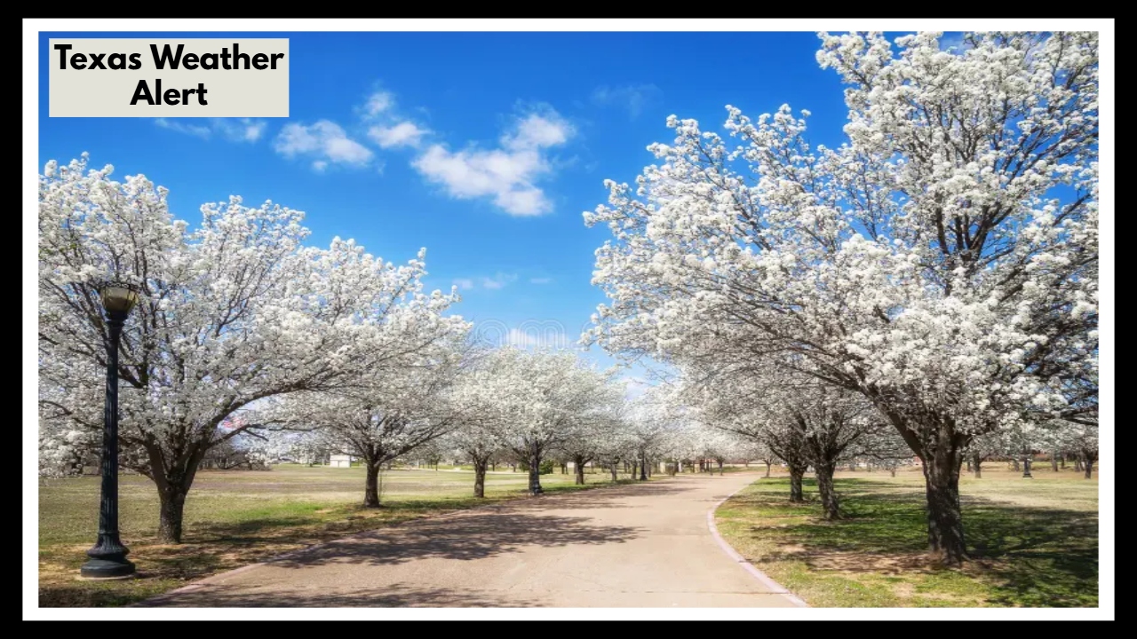 Texas Weather Alert: Fort Worth Is Getting the Perfect Spring Day—Here’s What to Expect