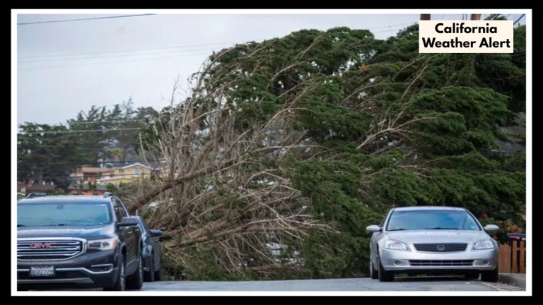 California Weather Alert: Strong Winds Could Shake Up San Francisco This Sunday!
