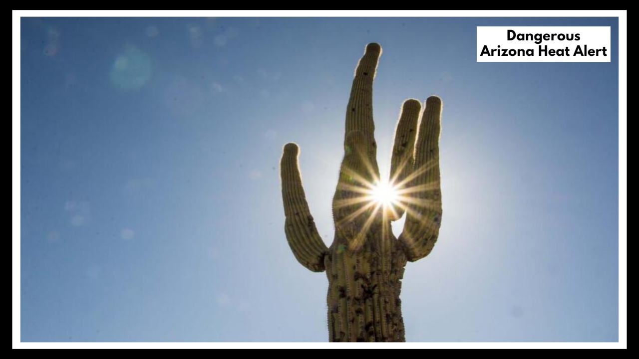Stay Indoors! Dangerous Arizona Heat Alert Issued as Phoenix Boils Under 117°F Sun
